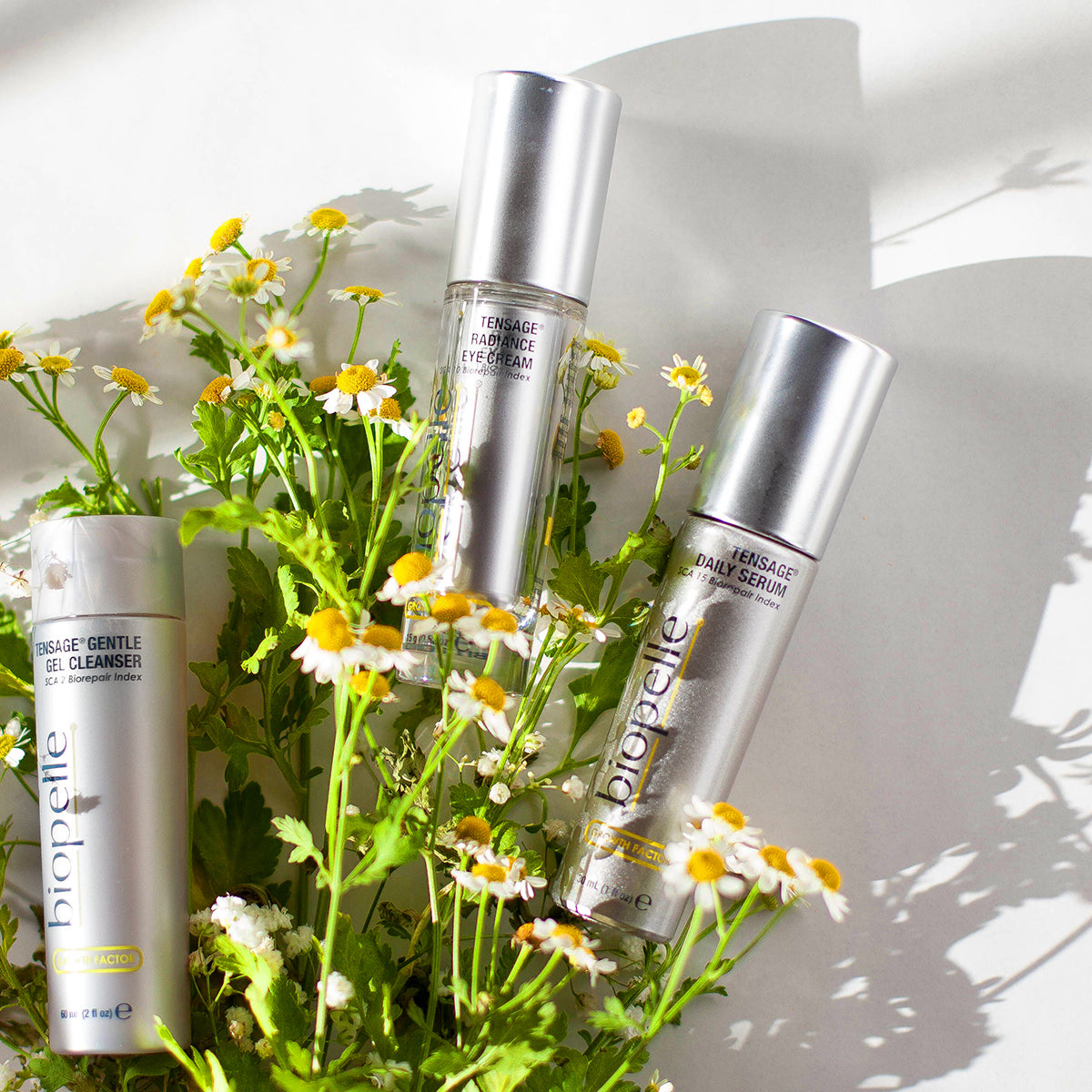 biopelle tensage daily serum